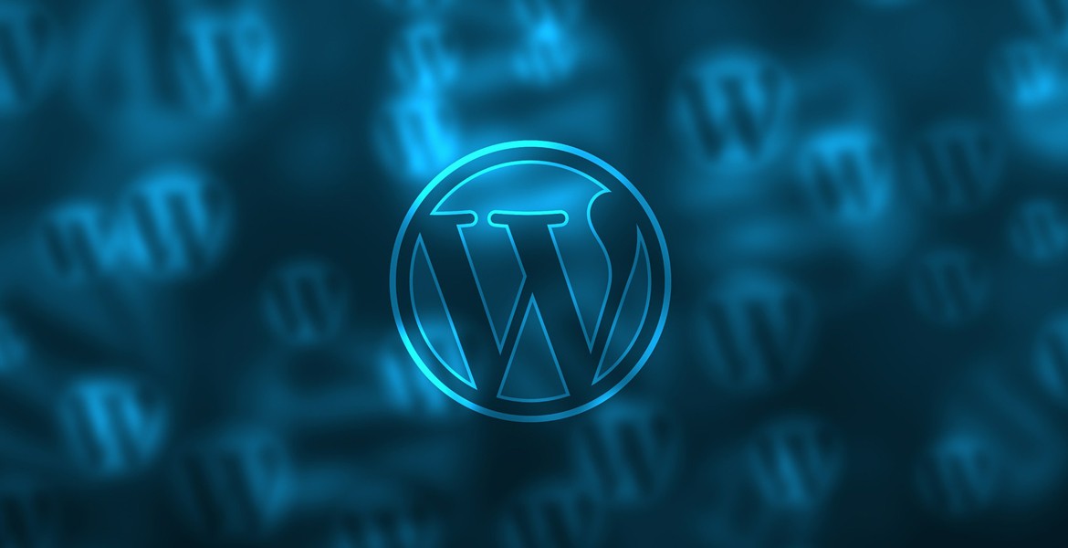 Wordpress Basico